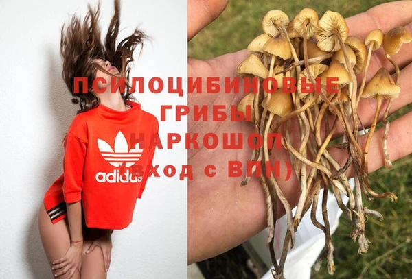 тгк Вязники